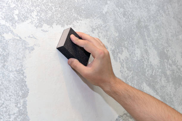 Best Biohazard Mold Removal  in Colonia, NJ