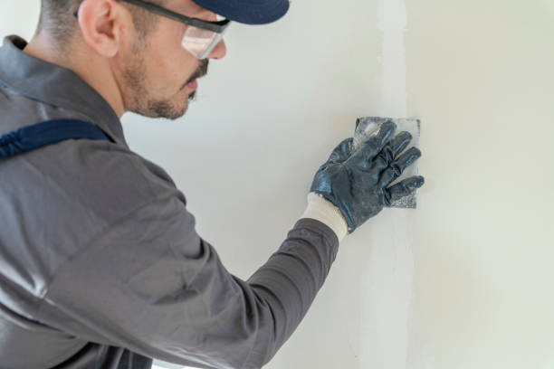 Best Mold Odor Removal Services  in Colonia, NJ