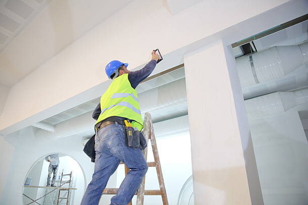 Best Emergency Mold Remediation  in Colonia, NJ
