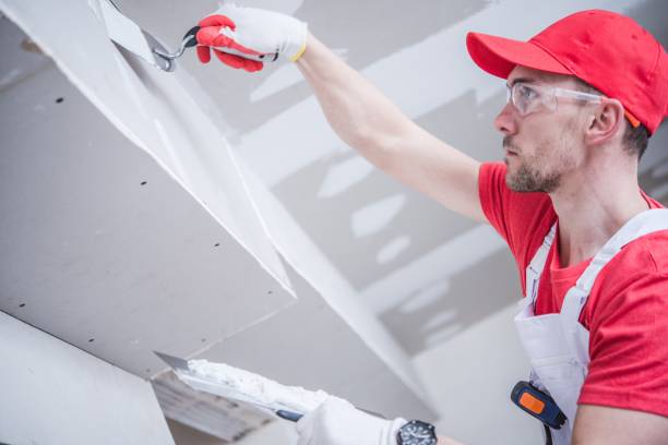 Best Black Mold Removal  in Colonia, NJ
